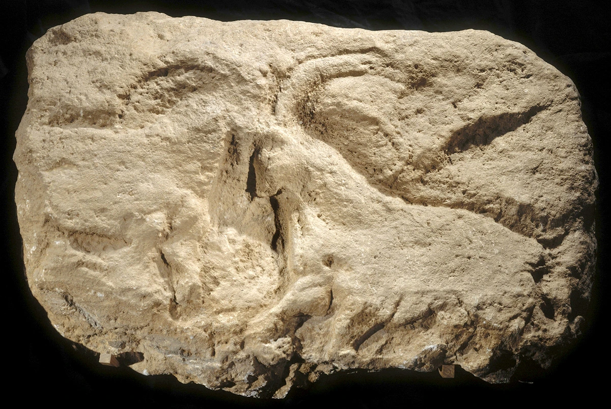 Sculpted Stone Blocks from Roc de Sers