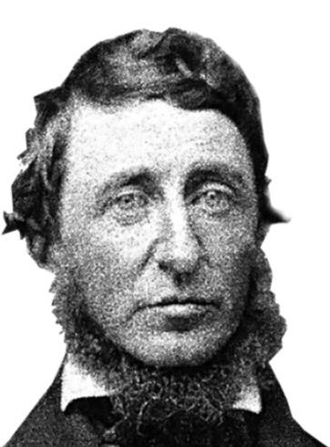 Thoreau