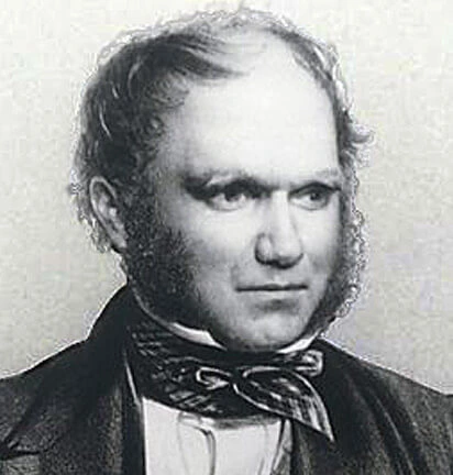 Karol Darwin