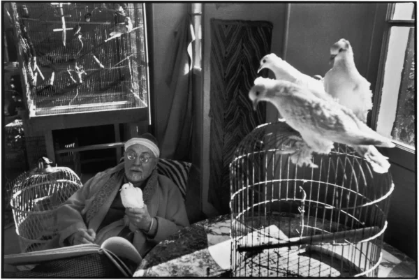 Henri Cartier-Bresson - Alpes-Maritimes, Vence, France. February, 1944